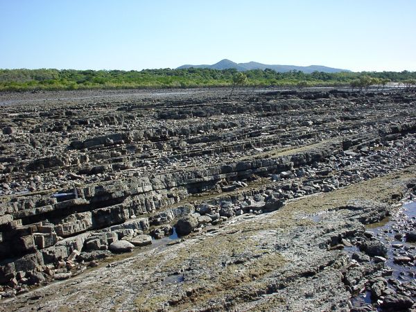 Shallow marine sedimentary strata, Laguna Quays, central Queensland.